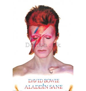 Plagát - David Bowie (Alladin Sane)
