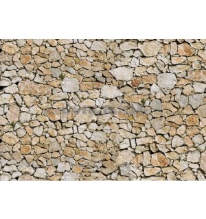 Fototapeta: Kamenná múr (5) - 254x368 cm