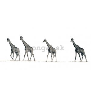 Obraz na plátne - Mario Moreno, The Giraffes