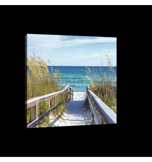 Obraz na plátne: Cesta na pláž (4) - 75x100 cm