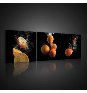 Obraz na plátne: Pomaranče (2) - set 3ks 25x25cm