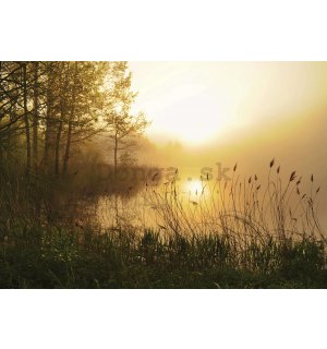 Fototapeta vliesová: Jazero v hmle - 368x254 cm